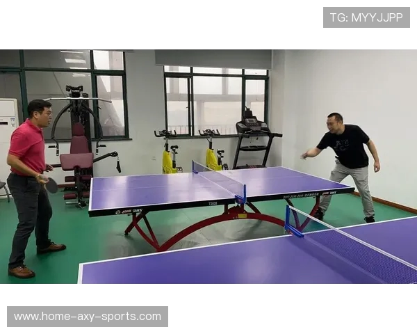 深圳乒乓球队运营分析:成功经验与不足之处的深度剖析 深圳乒乓球队运营分析:成功经验与不足之处的深度剖析