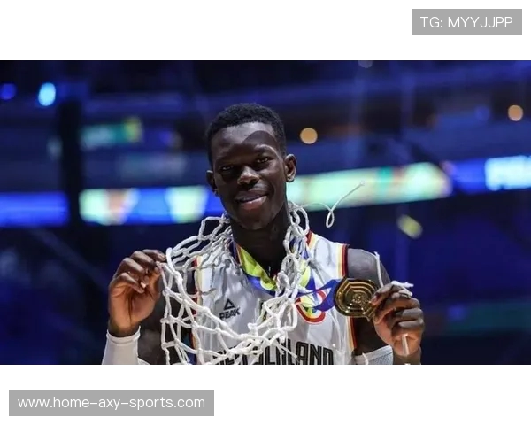 丹尼斯施罗德在NBA的职业生涯与未来发展展望